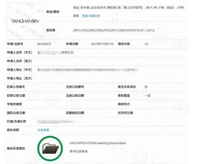 杨瀚森也中招！体育界姓名商标抢注为何屡禁不止？