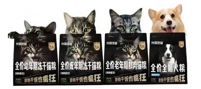 卖牛奶的光明改喂猫？复活40年旧商标闯8000亿市场，这步棋对了吗