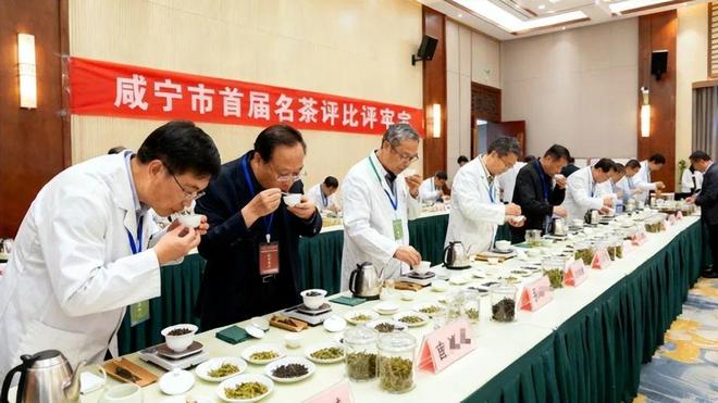 生甡川驰名商标背后：以古法图谱+冷泡颗粒重构青砖茶场景化矩阵